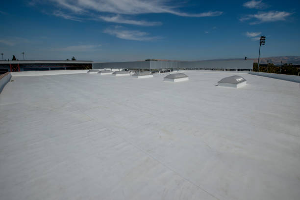 Best Gutter Installation and Repair  in Willow Grove, TX