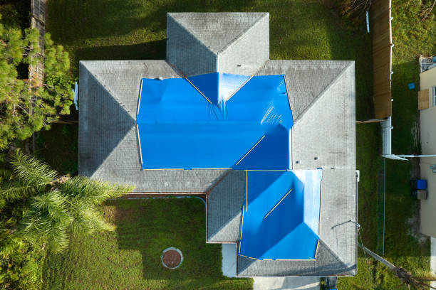 Best Rubber Roofing (EPDM, TPO)  in Willow Grove, TX