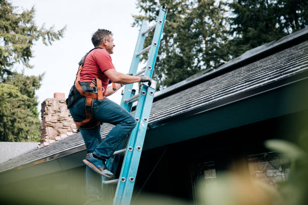Best Roof Ventilation Installation  in Willow Grove, TX