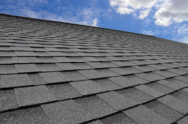 Best Skylight Installation and Repair  in Willow Grove, TX